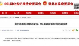 湖北爆料最新消息新闻,聚焦突发新闻事件